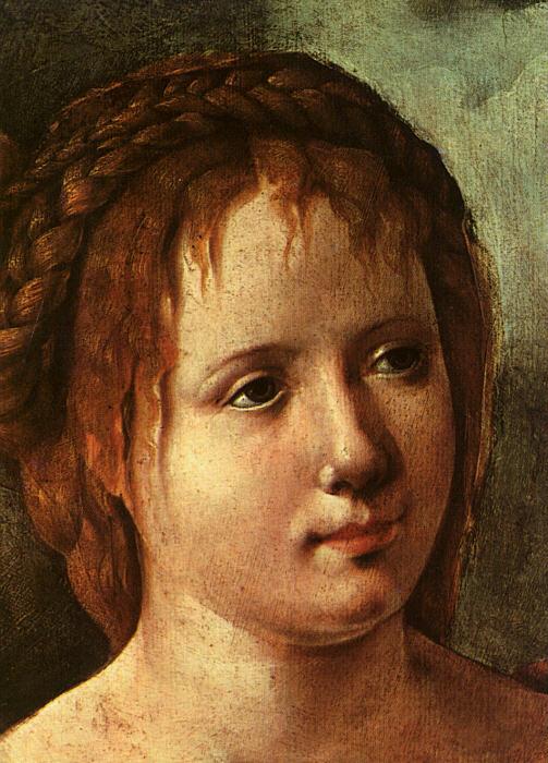 Jan van Scorel Head of a Young Girl oil painting image